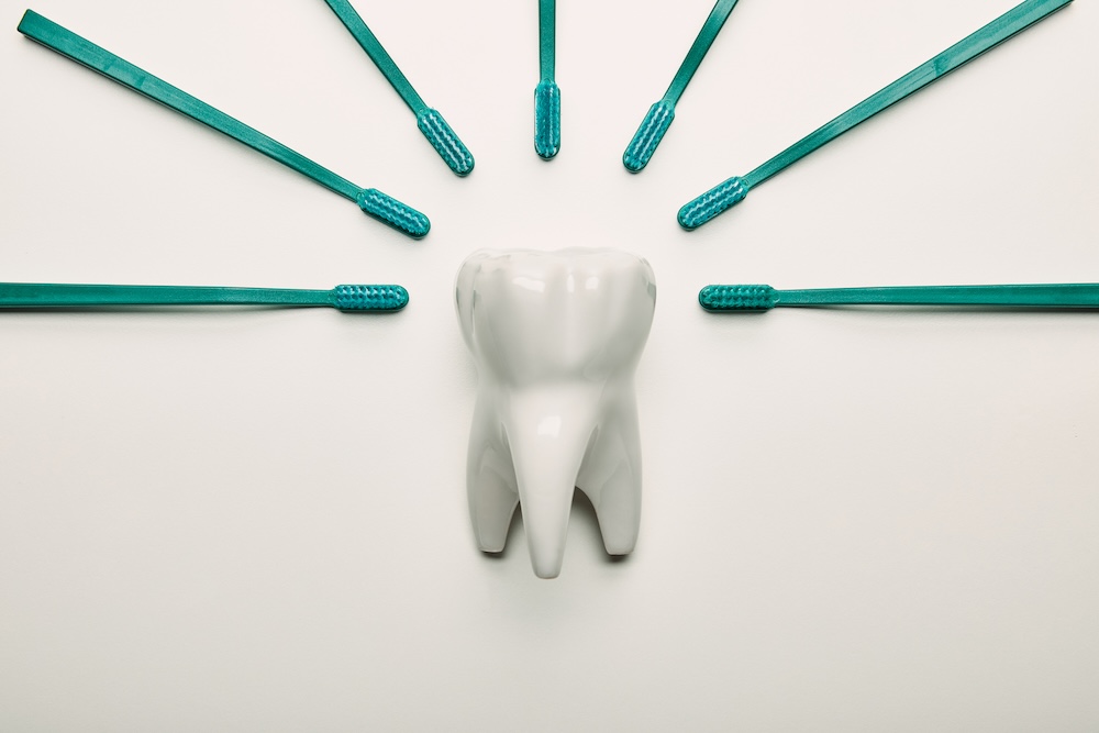 A large tooth decoy with 7 toothbrushes spaced evenly in a half circle above the tooth. Schedule your Dental Cleaning Near Waxhaw!